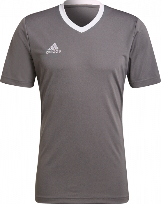 Adidas - Entrada 22 Jersey - Grey four & biały