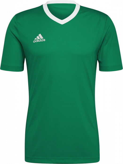 Adidas - Entrada 22 Jersey - T Green & branco