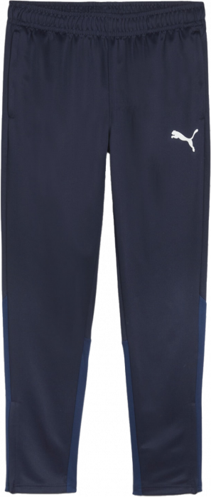 Puma - Teamgoal Training Pants - Granat